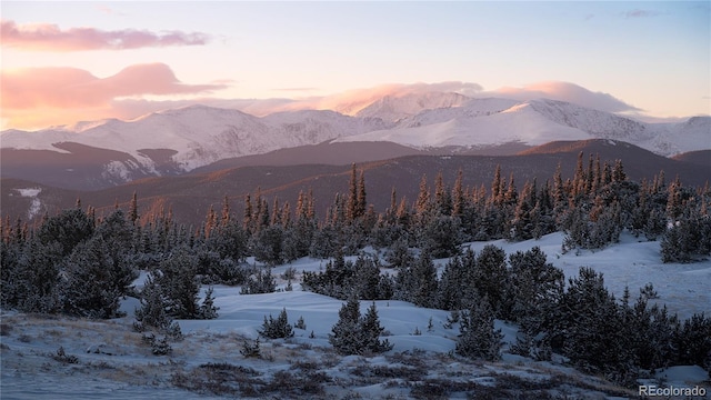 79 Beaver Rd, Idaho Springs, CO 80452 - view of mountain backdrop with a heavily wooded area