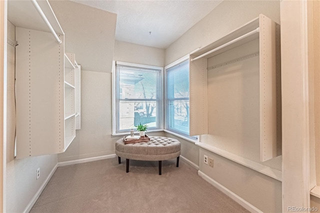 spacious closet with carpet floors