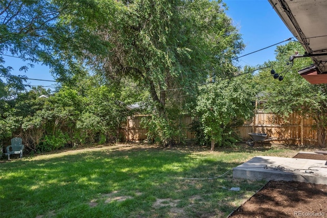 9300 W 53rd Ave, Arvada, CO 80002 - view of yard