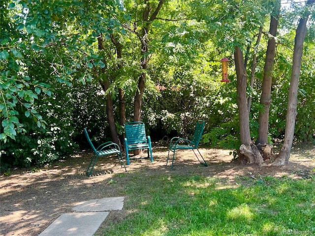 9300 W 53rd Ave, Arvada, CO 80002 - photo 31