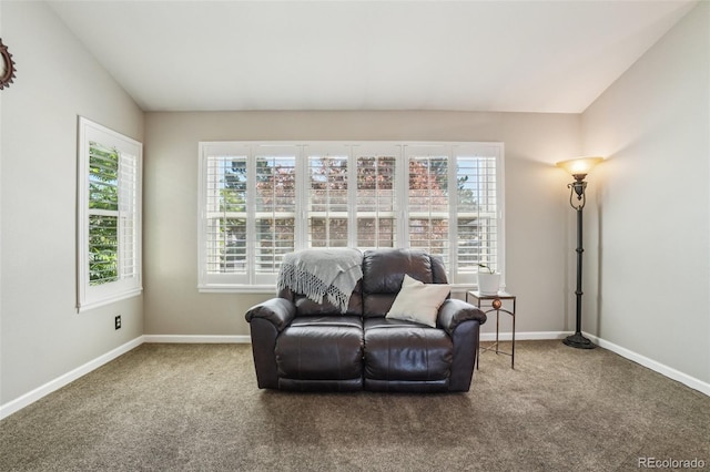 7311 Rattlesnake Dr, Lone Tree, CO 80124 - sitting room with vaulted ceiling and carpet floors