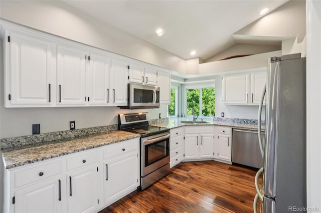7311 Rattlesnake Dr, Lone Tree, CO 80124 - kitchen featuring stainless steel appliances, white cabinetry, dark wood finished floors, lofted ceiling, and light stone countertops