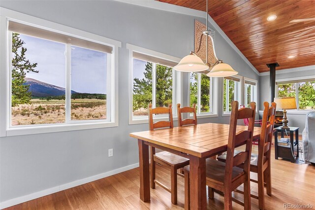 485 High Creek Rd, Fairplay, CO 80440 - photo 3