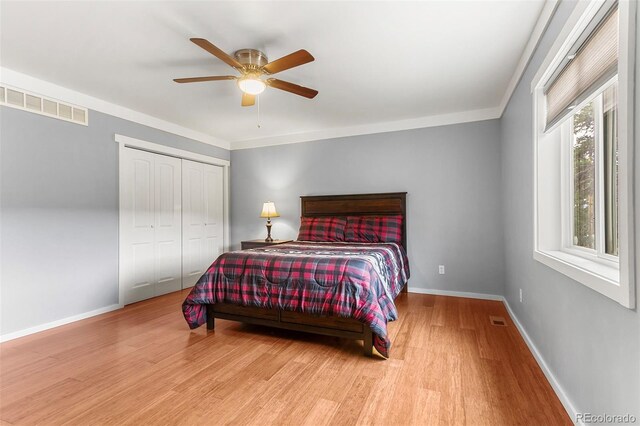 485 High Creek Rd, Fairplay, CO 80440 - photo 19