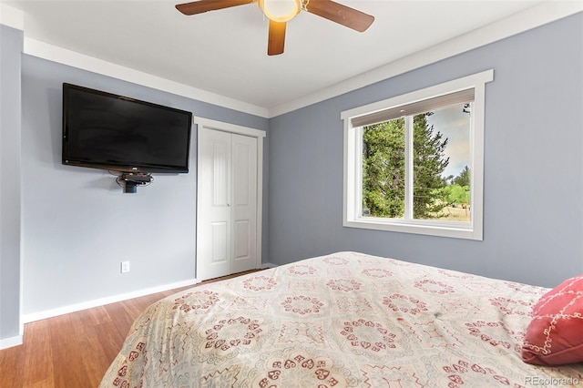 485 High Creek Rd, Fairplay, CO 80440 - photo 25
