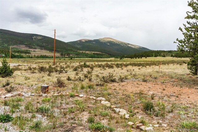 485 High Creek Rd, Fairplay, CO 80440 - photo 31