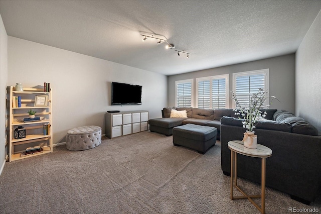 living room with carpet flooring, a textured ceiling, and track lighting