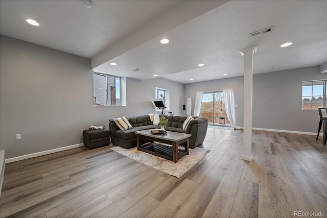 living room with light wood-type flooring and a wealth of natural light