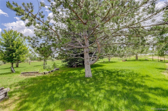 1425 Shoshone Trl, Elizabeth, CO 80107 - photo 6