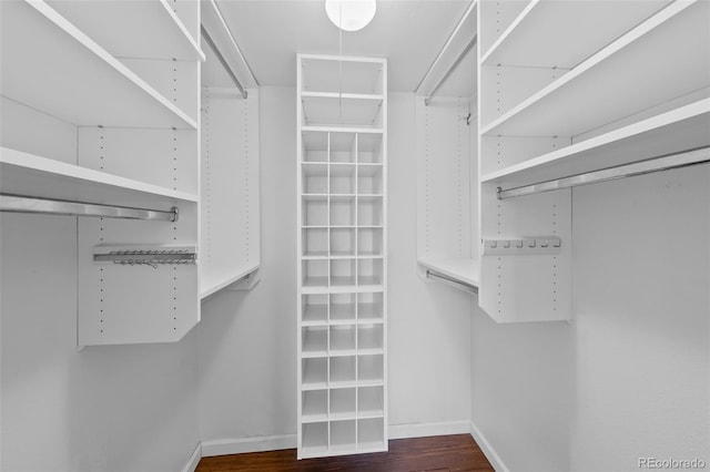 spacious closet featuring wood finished floors