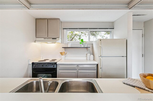 kitchen featuring black / electric stove, freestanding refrigerator, under cabinet range hood, and a wealth of natural light