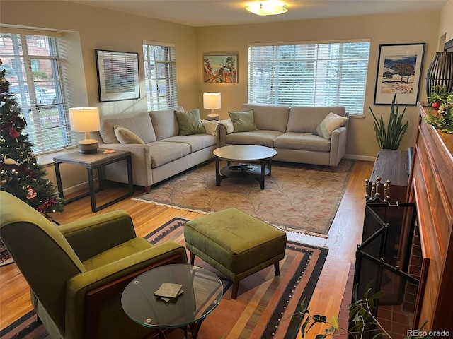 living room with light hardwood / wood-style floors