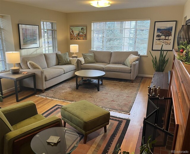 701 S Clayton St, Denver, CO 80209 - living room with light wood finished floors and baseboards