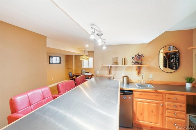 kitchen featuring dishwasher, rail lighting, and sink