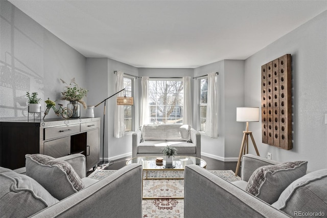 living area featuring wood finished floors and baseboards