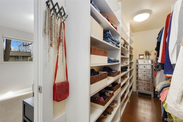 view of walk in closet