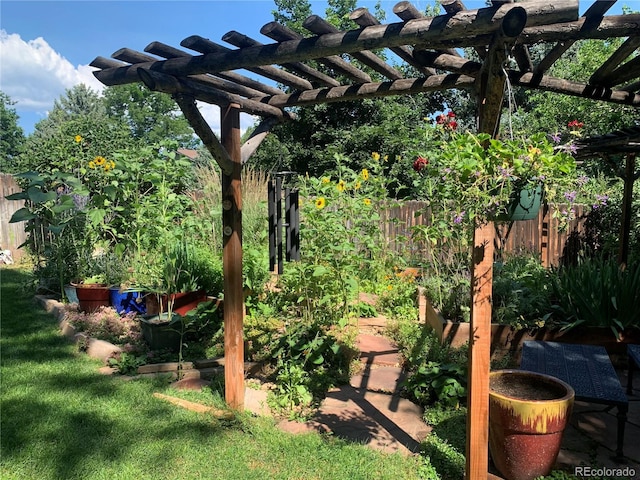 view of yard featuring a pergola