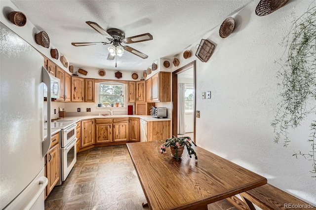 kitchen with a textured ceiling, ceiling fan, sink, and white appliances