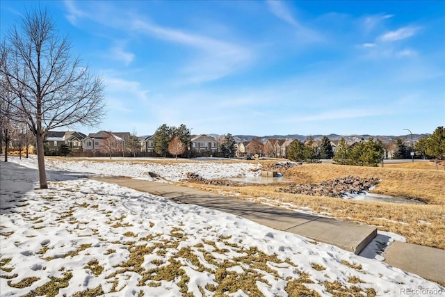 view of yard covered in snow