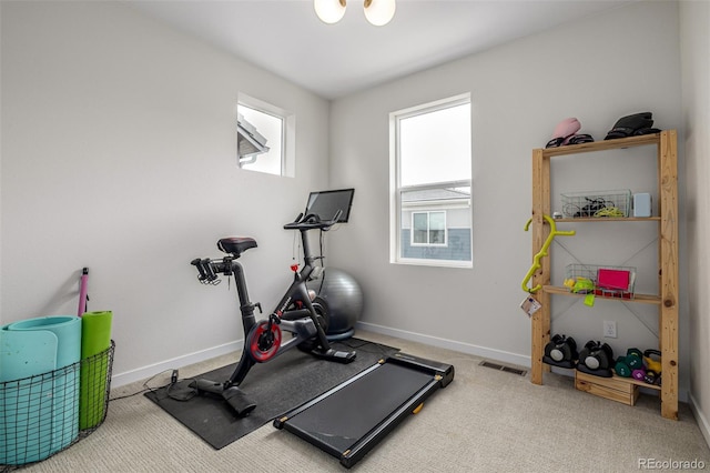 11027 Sunshimmer Cir, Parker, CO 80134 - workout area featuring baseboards and carpet floors
