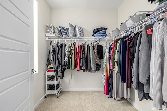 11027 Sunshimmer Cir, Parker, CO 80134 - walk in closet featuring carpet