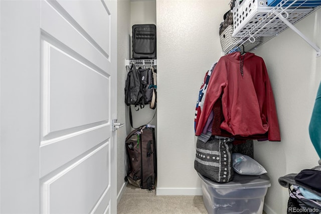 11027 Sunshimmer Cir, Parker, CO 80134 - spacious closet featuring carpet flooring