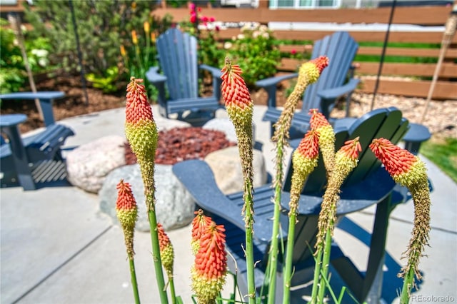 834 Bear Peak Rd, Erie, CO 80516 - photo 6