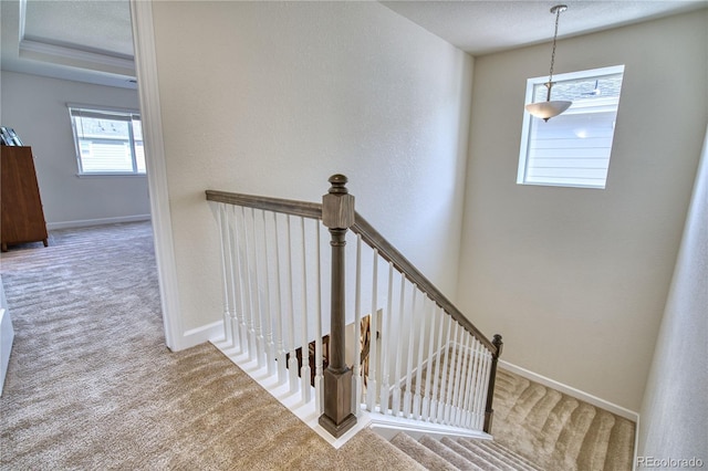 834 Bear Peak Rd, Erie, CO 80516 - photo 19