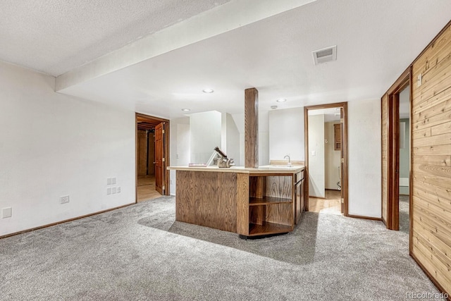 interior space with a sink, visible vents, light carpet, and a textured ceiling