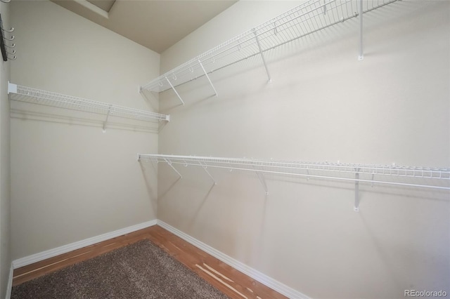 walk in closet featuring wood-type flooring