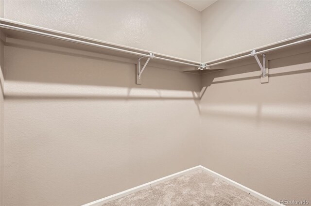 walk in closet featuring carpet floors
