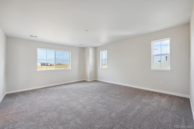 empty room featuring carpet flooring and plenty of natural light