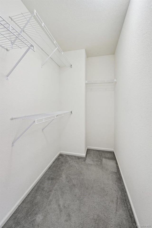 walk in closet featuring carpet flooring