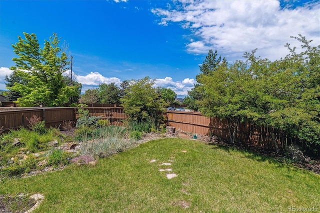 10358 Kelliwood Way, Highlands Ranch, CO 80126 - view of yard