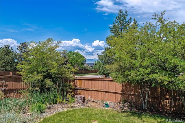 10358 Kelliwood Way, Highlands Ranch, CO 80126 - view of fenced backyard