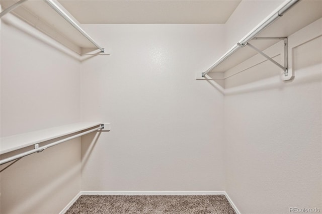6087 Colony Cir, Colorado Springs, CO 80919 - spacious closet featuring carpet flooring