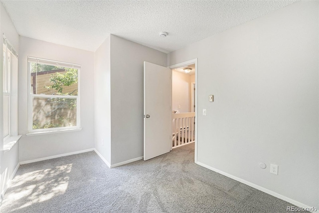 empty room featuring carpet floors and a textured ceiling