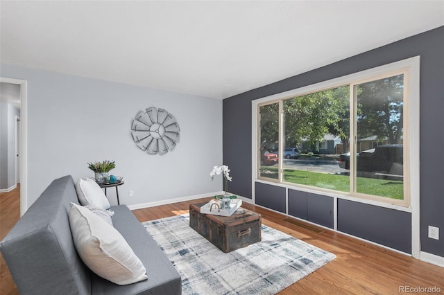 living room featuring hardwood / wood-style flooring