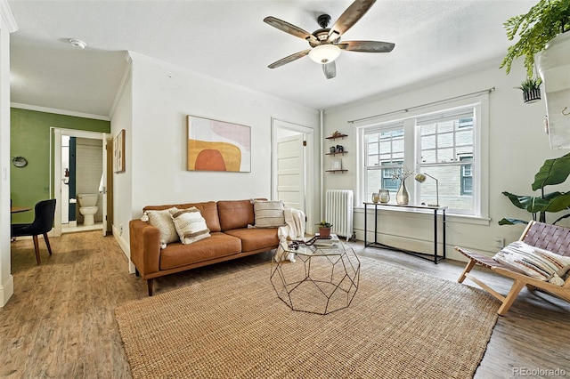 1137 N Sherman St Unit 17, Denver, CO 80203 - living room featuring radiator, light wood finished floors, a ceiling fan, and crown molding