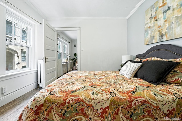 1137 N Sherman St Unit 17, Denver, CO 80203 - bedroom with wood finished floors and ornamental molding