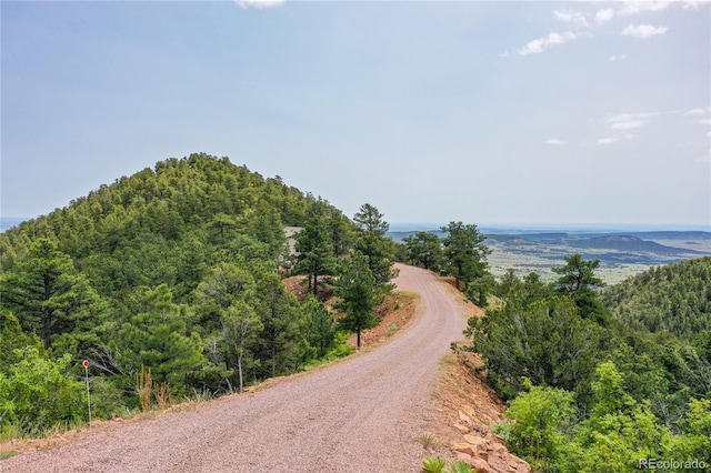 3760 Big Spruce Hts, Colorado Springs, CO 80926 - photo 40