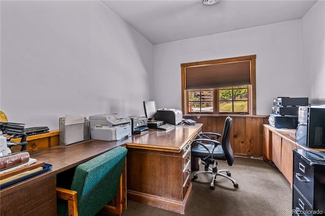 office space with wood walls and carpet flooring