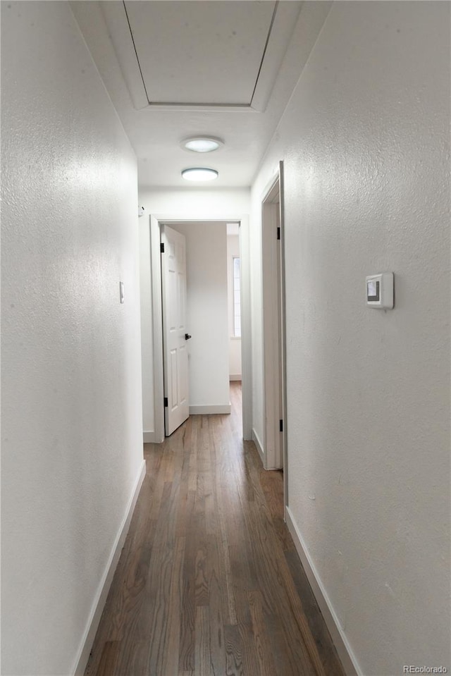 corridor with dark hardwood / wood-style floors