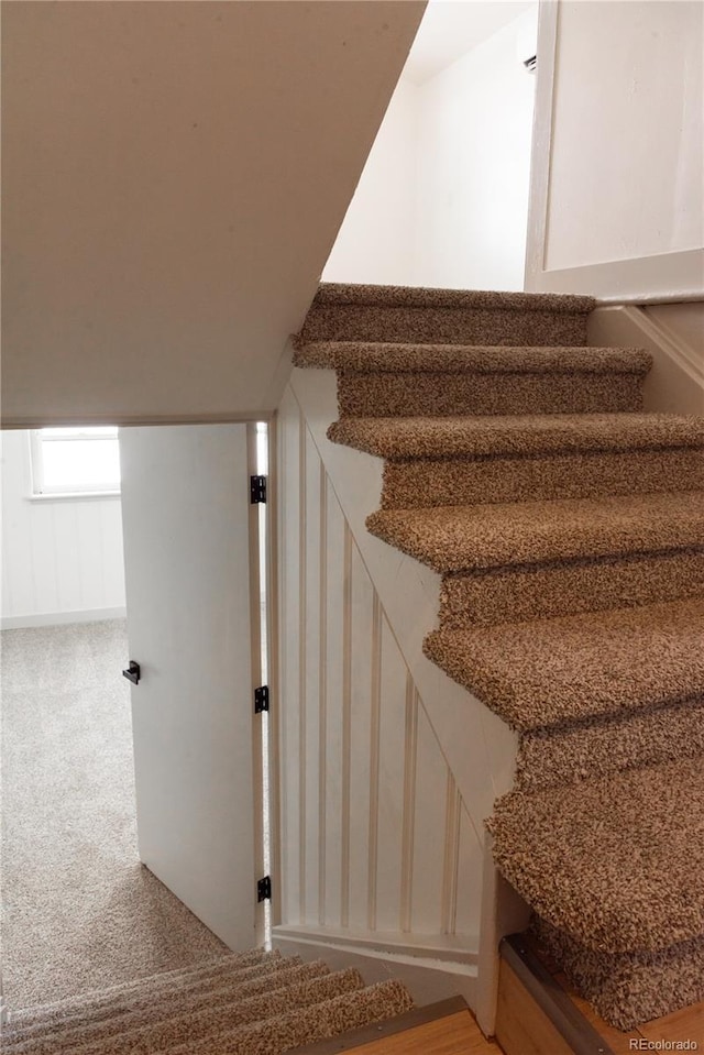 stairs featuring carpet floors