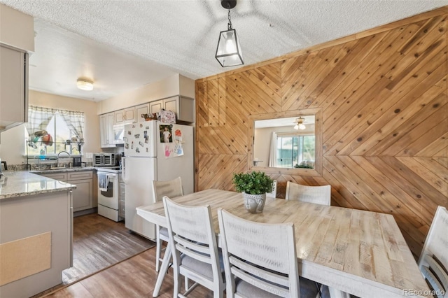 dining room featuring wood finished floors and wooden walls
