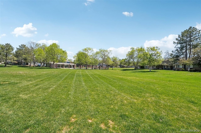 view of green lawn