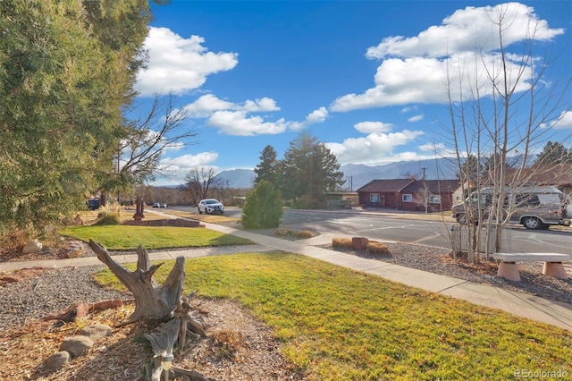 view of yard with a mountain view