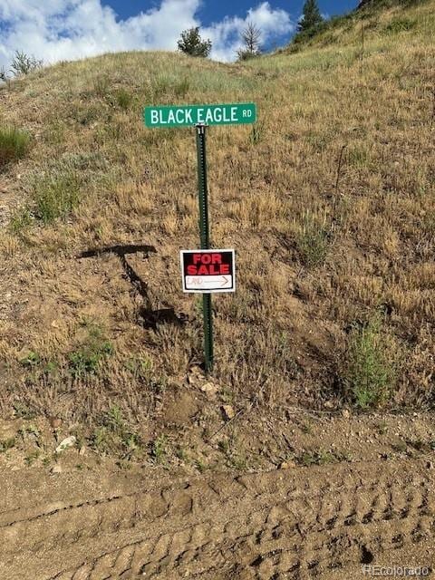 Listing photo 2 for Black Eagle Rd, Idaho Springs CO 80452