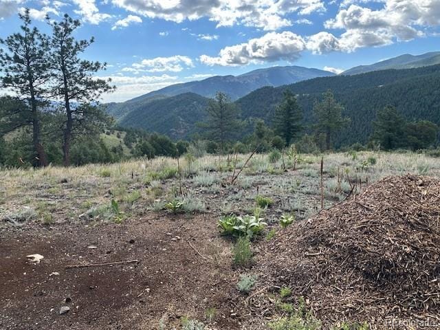 Listing photo 3 for Black Eagle Rd, Idaho Springs CO 80452