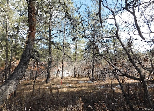 1025 Tenderfoot Dr, Larkspur, CO 80118 - view of nature